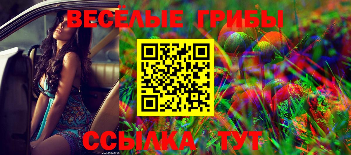 Псилоцибиновые грибы MAGIC MUSHROOMS Санкт-Петербург