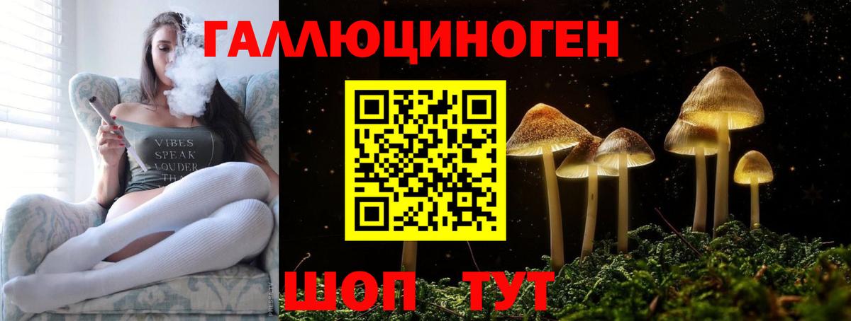 где купить наркоту  Псилоцибиновые грибы MAGIC MUSHROOMS  Вход с VPN  Санкт-Петербург 